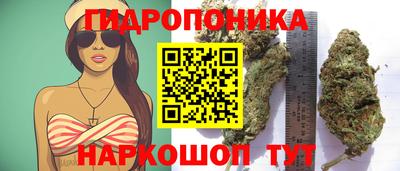 jwh Тулун