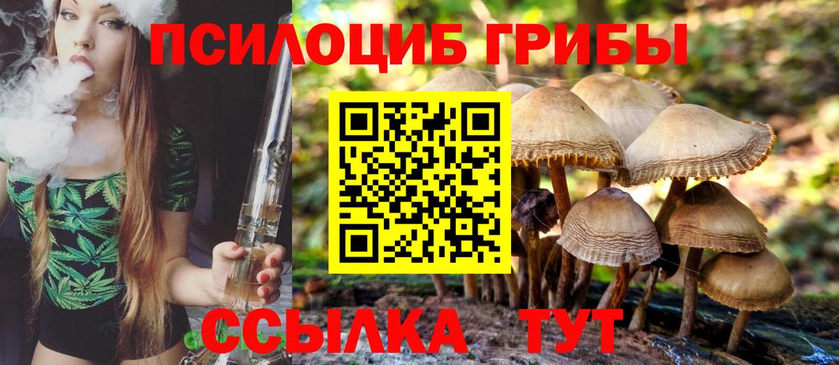 Галлюциногенные грибы мицелий  Вход с VPN  Псилоцибиновые грибы мухоморы  Бор 